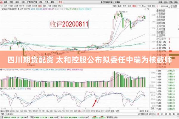 四川期货配资 太和控股公布拟委任中瑞为核数师