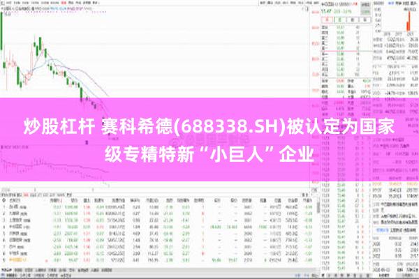 炒股杠杆 赛科希德(688338.SH)被认定为国家级专精特新“小巨人”企业