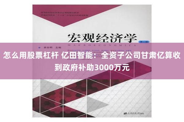 怎么用股票杠杆 亿田智能：全资子公司甘肃亿算收到政府补助3000万元