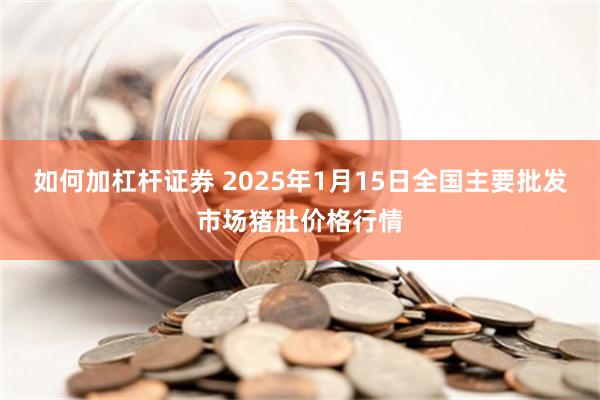 如何加杠杆证券 2025年1月15日全国主要批发市场猪肚价格行情