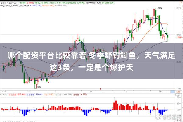 哪个配资平台比较靠谱 冬季野钓鲫鱼，天气满足这3条，一定是个爆护天